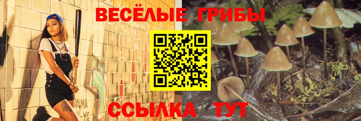 Псилоцибиновые грибы ЛСД Добрянка