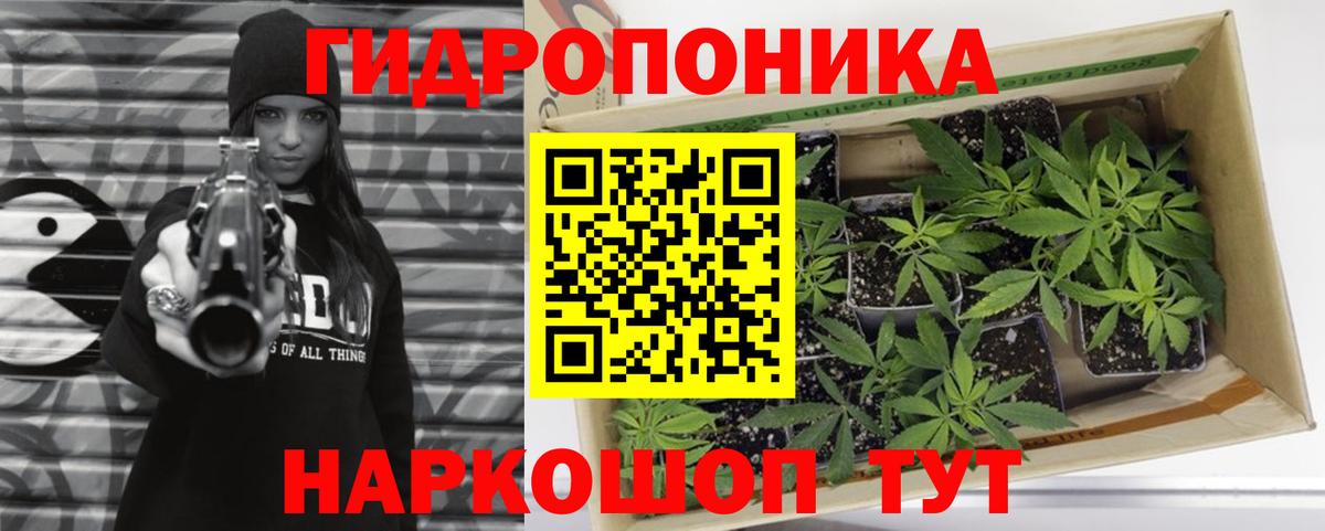 Добрянка  Бошки марихуана MAZAR  Вход с VPN  Канабис THC 21%  Каннабис SATIVA & INDICA 